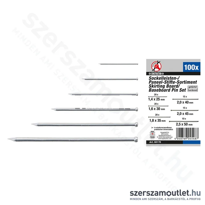 BGS Bognár szeg klt. 100db (BGS-88178)