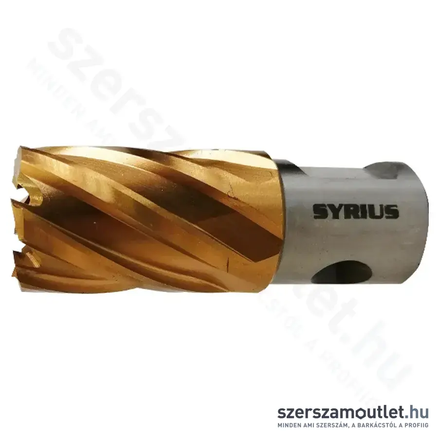 SYRIUS HSS TITAN Magfúró WD+RQ d12x30mm (M2ALTIND12x30WD)